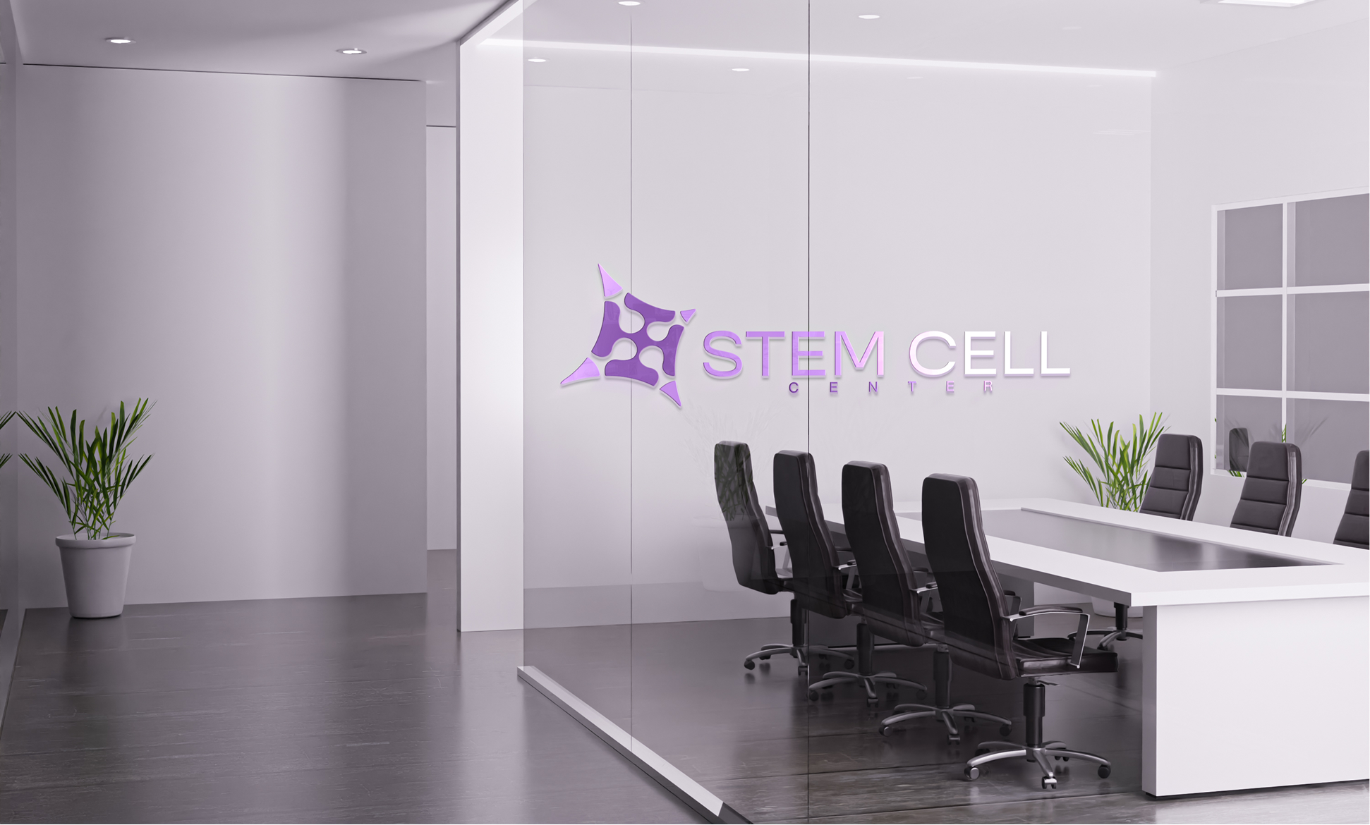 Stem Cell Center — Global provider-network model