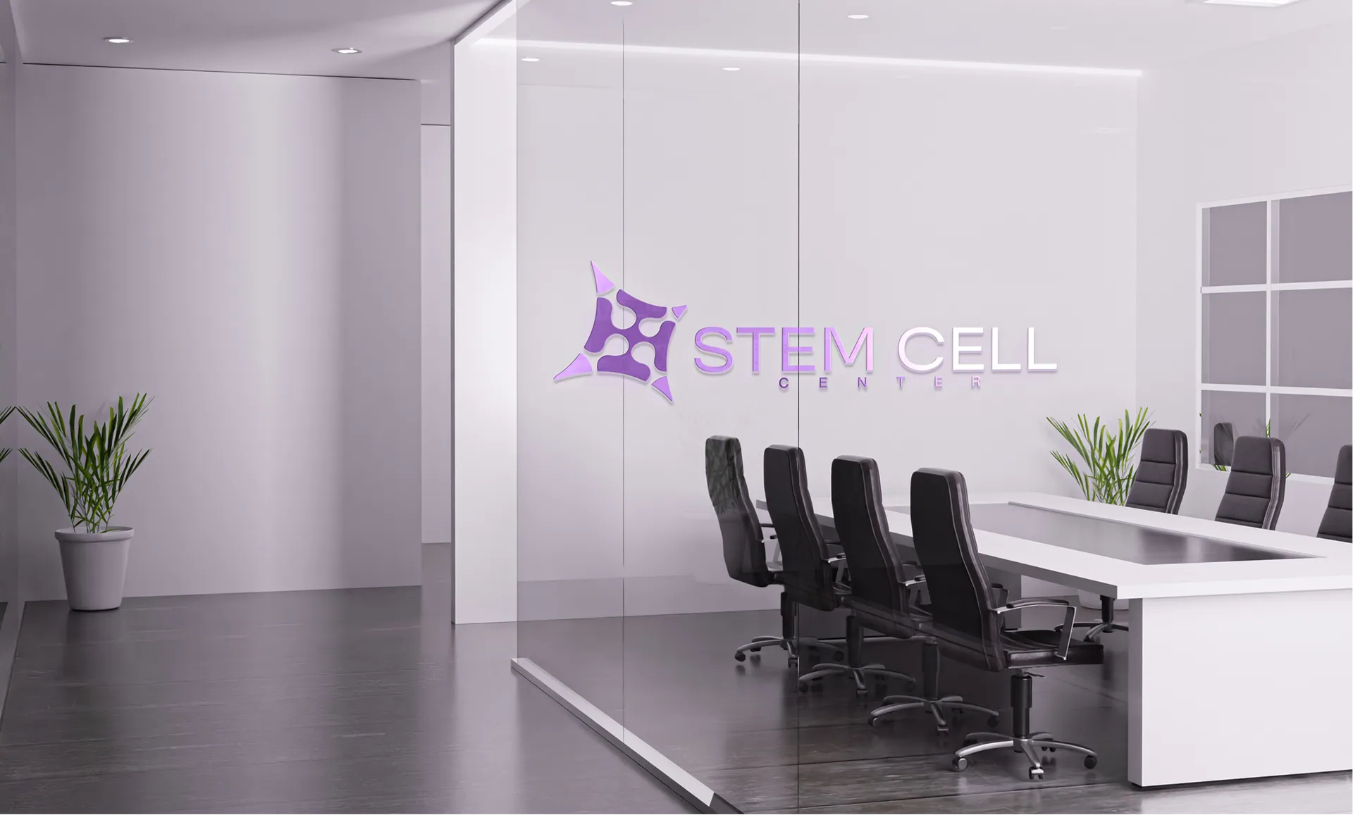 Stem Cell Center — Global provider-network model